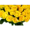 Bouquet of yellow roses